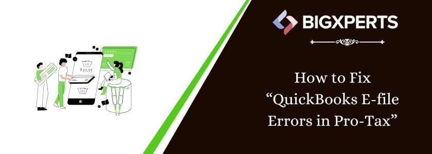 QuickBooks Online E-file Errors in Pro-Tax